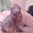 Продаются шикарные котята донского сфинкса ! - Изображение #2, Объявление #268113
