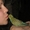 волнистый попугайчик Кеша - Изображение #3, Объявление #603406