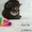 Продажа котят Мейн-куна - Изображение #2, Объявление #880173