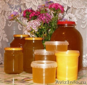 Продаю мед не дорого - Изображение #1, Объявление #725812