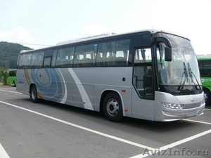 Продаём автобусы Дэу Daewoo  Хундай  Hyundai  Киа  Kia  в наличии Омске. Курган - Изображение #2, Объявление #849483